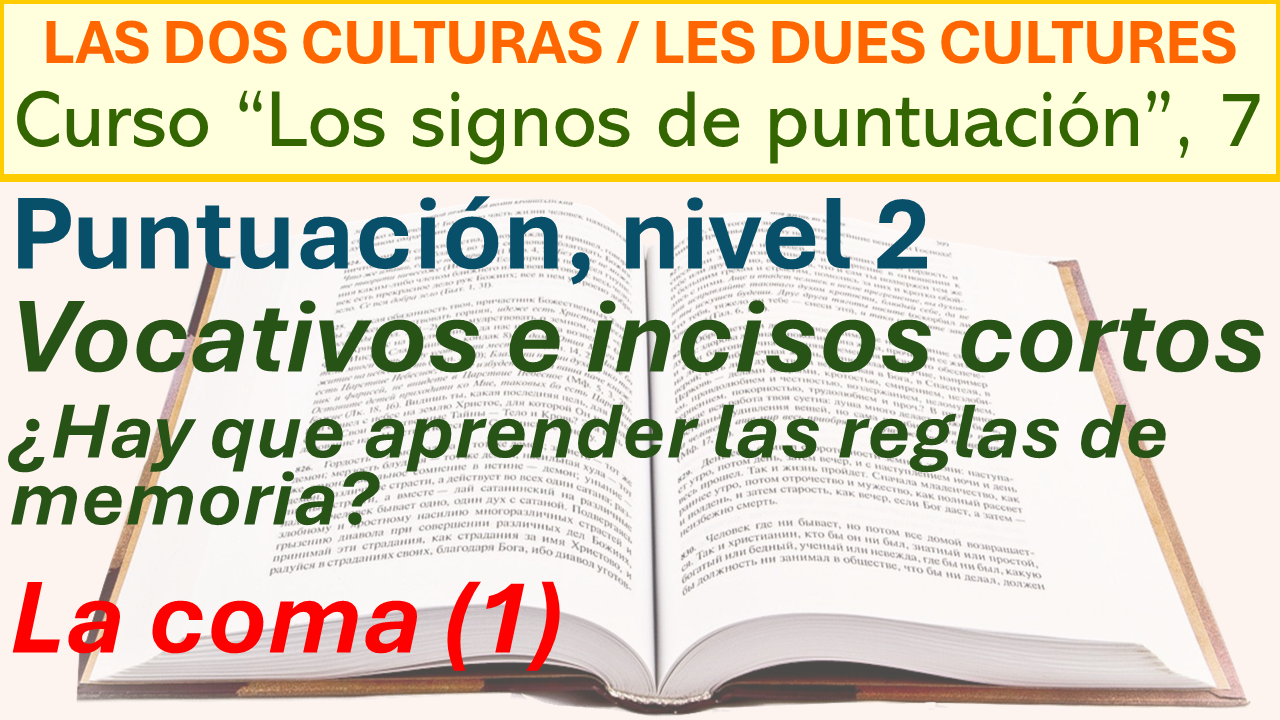 Puntuacin (7)